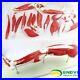 23 parts muscles of Leg with main vessels and nerves Medical teaching model