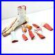 9Parts 11 Human Foot Joint Muscle Ligament Plantar Anatomical Surgery Model