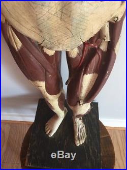 Antique 1930s Human Wood Body Anatomy Model Parts Medical Learning Male Female