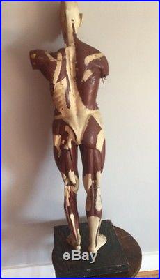 Antique 1930s Human Wood Body Anatomy Model Parts Medical Learning Male Female