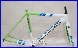 Cannondale Bike Frame Bicycle Parts 2013 Model Liquigas Caad10 Rare F/s