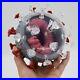 Cell Model 50Parts DIY Toys Anatomical Equipment Children Gift Assembly Teaching