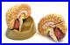 Eisco Labs Life Size Human Brain Model with Arteries 8 Parts with Stand