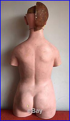 Human Body Antique Vintage Anatomy Art Model Parts Medical Learning Male Female