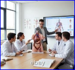 Human Torso Anatomy Model 85cm 23 Detachable Parts Medical Study Model