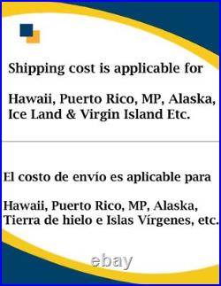 OE Front Strut & Rear Shock For 2017-2019 Hyundai Elantra 1.6L Lifetime Warranty