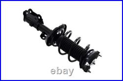 OE Front Strut & Rear Shock For 2017-2019 Hyundai Elantra 1.6L Lifetime Warranty