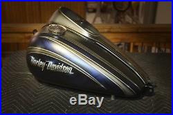 Paint on your parts street road glide electra roadking heritage harley davidson
