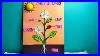 Parts Of Plants Parts Of Plants 3d Model Parts Of Plant Model For Science Project Partsofplant